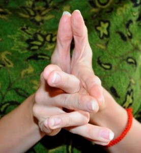 Surabhi Mudra (cow) Believed to invite empathy, awareness and hidden gifts for use in benefiting all beings.