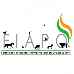 FIAPO logo